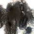 /thumbs/70&times;70&times;c/new-works/Chung-Soul-of-A-Tree-no-5-2026-in-on-paper-42-x-29-7-cm.jpeg